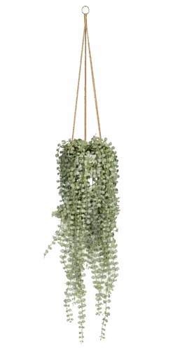 Senecio Erbsenpflanze Künstlich 7 Senecio Erbsenpflanze Künstlich -Pflanzen Blumentopf Geschäft P3026R 14 34