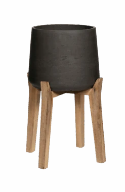 Patt Black Washed Feet High 11 Patt Black Washed Feet High -Pflanzen Blumentopf Geschäft PFH3026 19 33 1 e4ae0dd2 b281 4697 8763 81f4b68d020a