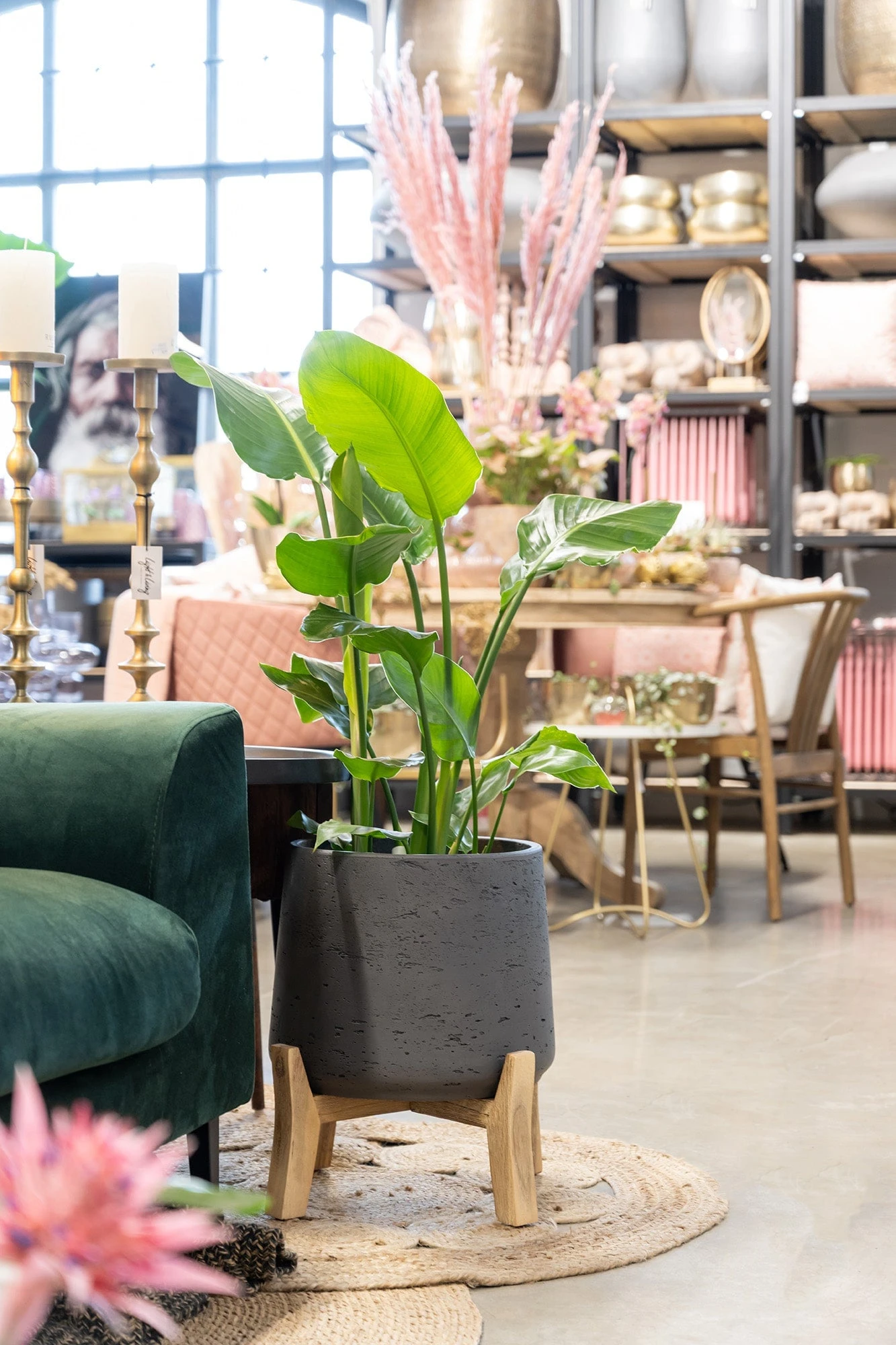 Patt Black Washed Feet Low 3 Patt Black Washed Feet Low