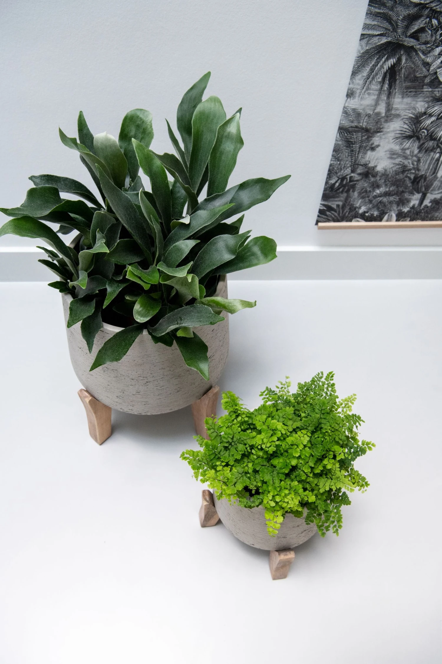 Patt Grey Washed Feet Low 5 Patt Grey Washed Feet Low – Bild 3