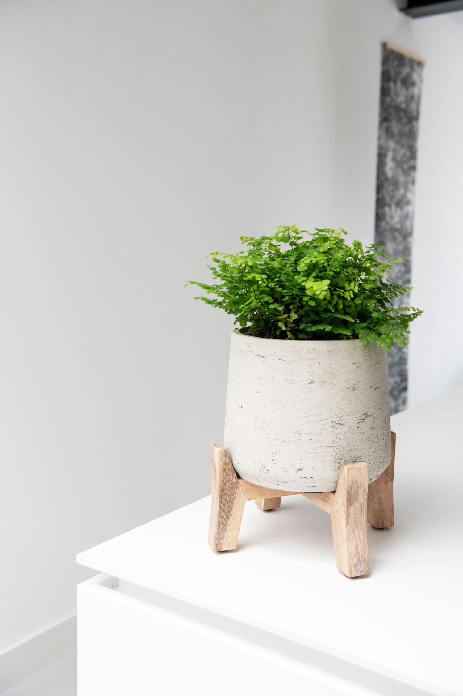 Patt Grey Washed Feet Low 4 Patt Grey Washed Feet Low – Bild 2