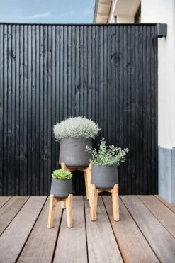 Patt Black Washed Feet High