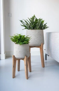 Patt Grey Washed Feet High