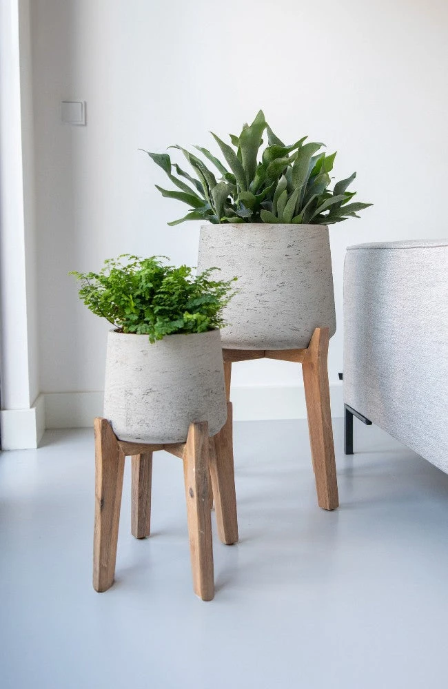 Patt Grey Washed Feet High 3 Patt Grey Washed Feet High