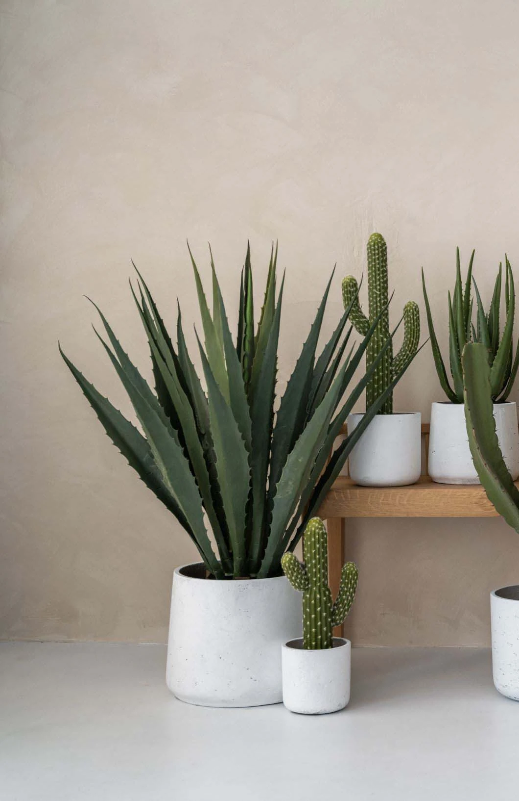 Patt White Washed 3 Patt White Washed