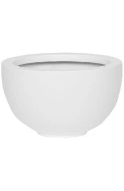 Peter Matt Weiß 7 Peter Matt Weiß -Pflanzen Blumentopf Geschäft Peter MW 2 Kopie