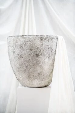 Jesslyn Oyster Imperial Weiß 8 Jesslyn Oyster Imperial Weiß -Pflanzen Blumentopf Geschäft R1159 52 18 2