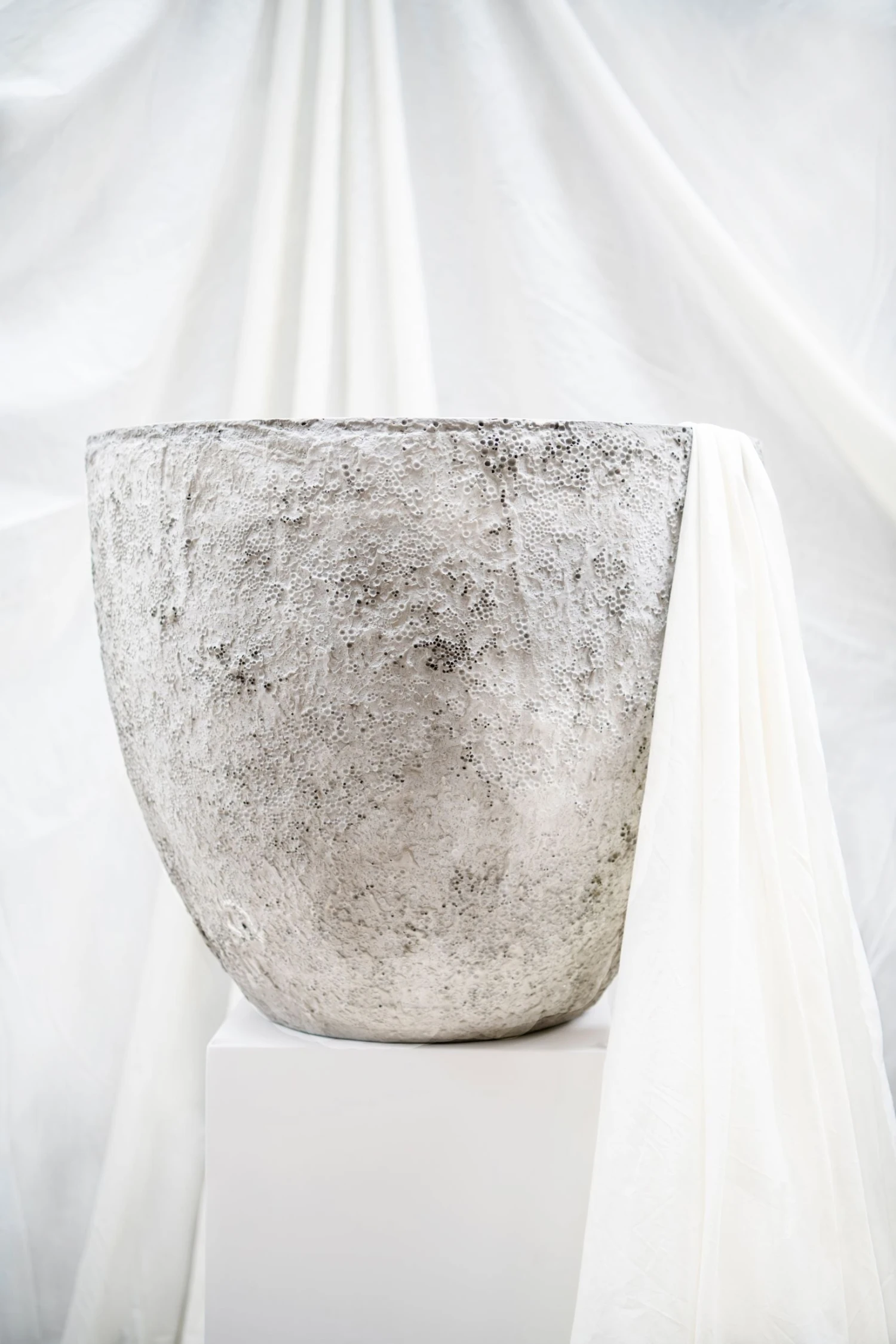 Jesslyn Oyster Imperial Weiß 5 Jesslyn Oyster Imperial Weiß – Bild 3