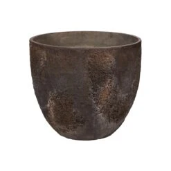 Jesslyn Oyster Imperial Braun 14 Jesslyn Oyster Imperial Braun -Pflanzen Blumentopf Geschäft R1159 61 19 min