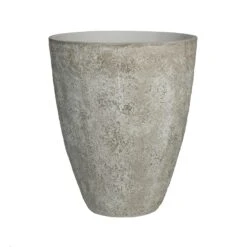 Hugo Oyster Imperial Weiß 13 Hugo Oyster Imperial Weiß -Pflanzen Blumentopf Geschäft R1256 S1 18 min