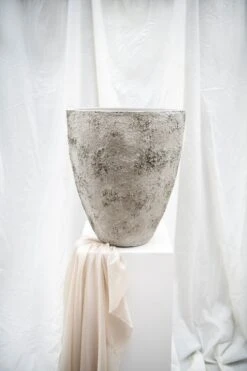 Hugo Oyster Imperial Weiß 12 Hugo Oyster Imperial Weiß -Pflanzen Blumentopf Geschäft R1256 S1 18 2