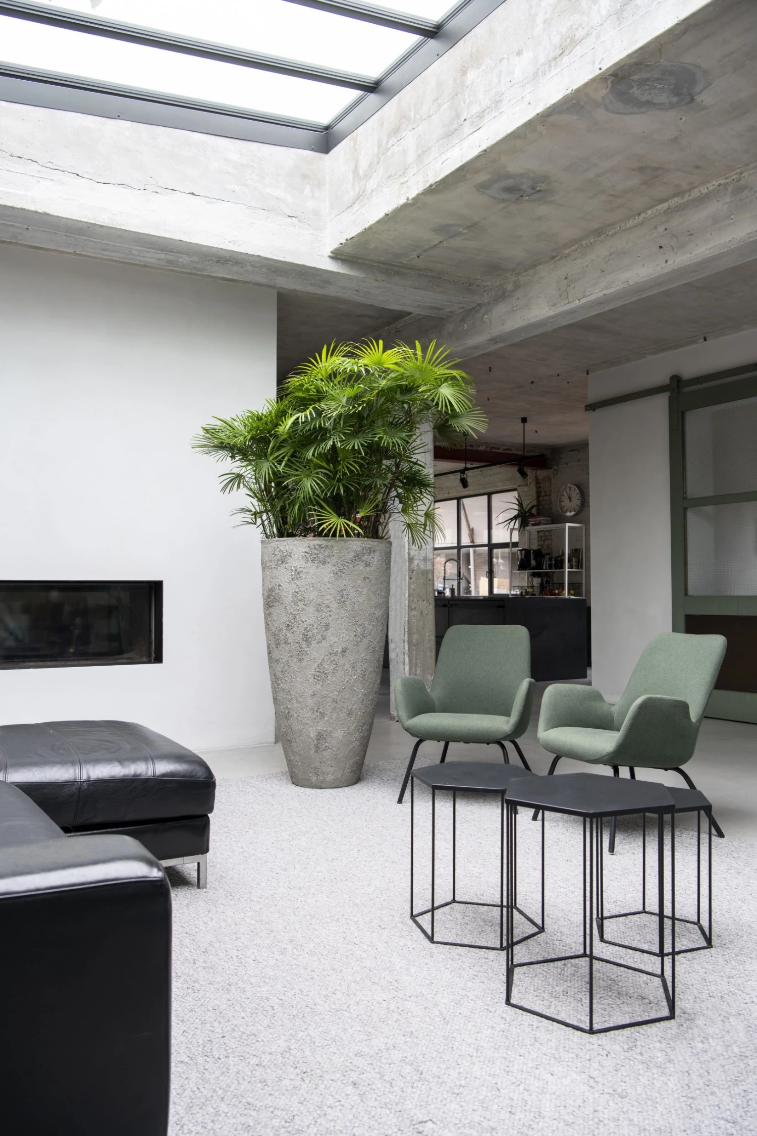 Hugo Oyster Imperial Weiß 3 Hugo Oyster Imperial Weiß