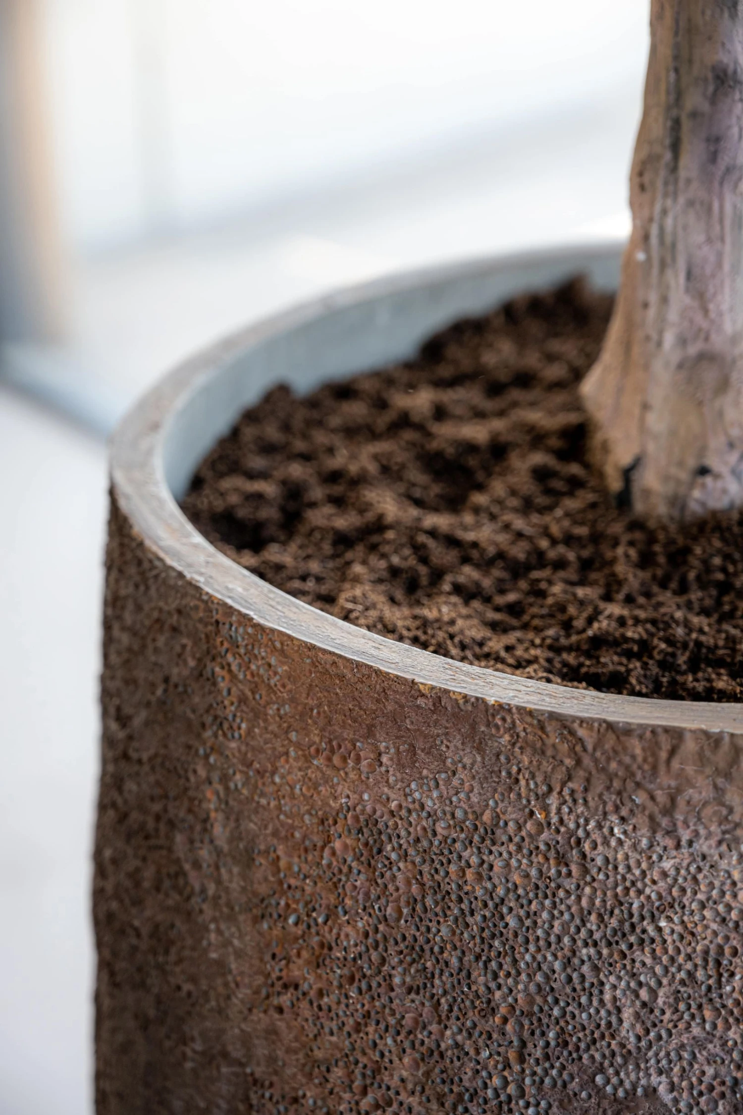 Gillard Oyster Imperial Braun 4 Gillard Oyster Imperial Braun – Bild 2