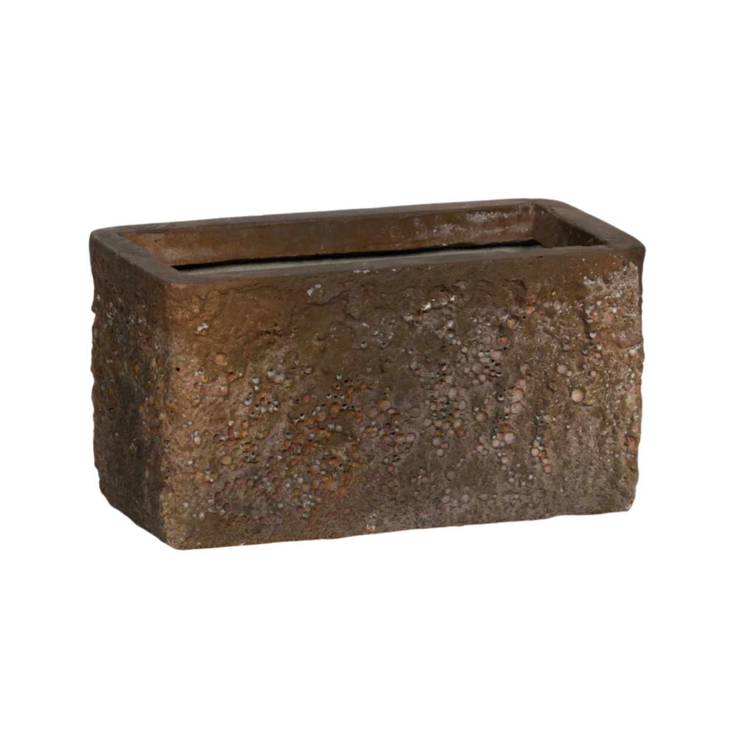 Mini Jort Oyster Imperial Braun 3 Mini Jort Oyster Imperial Braun