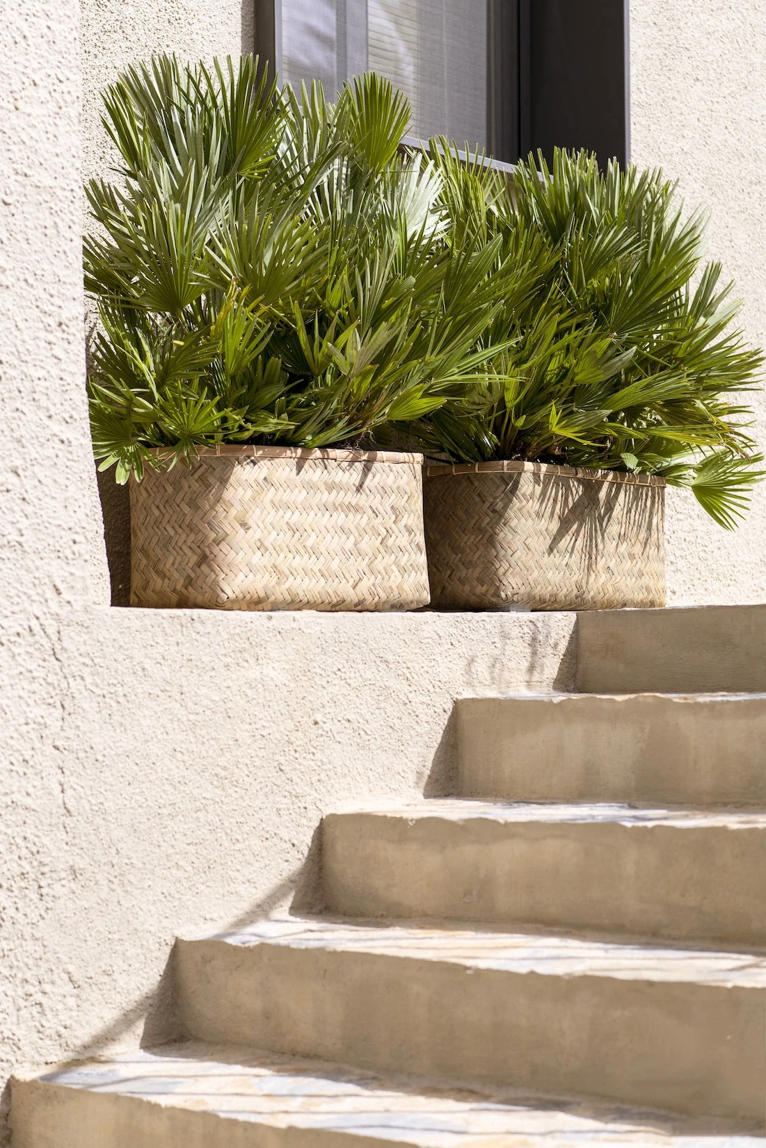 Pflanzkorb Bohemian Rafi 6 Pflanzkorb Bohemian Rafi – Bild 4