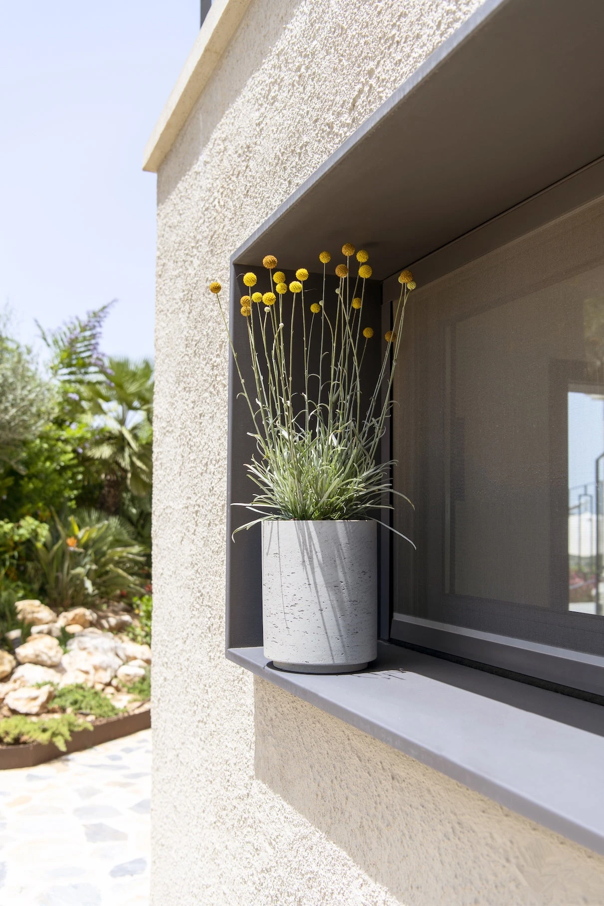 Suzi Grey Washed 3 Suzi Grey Washed