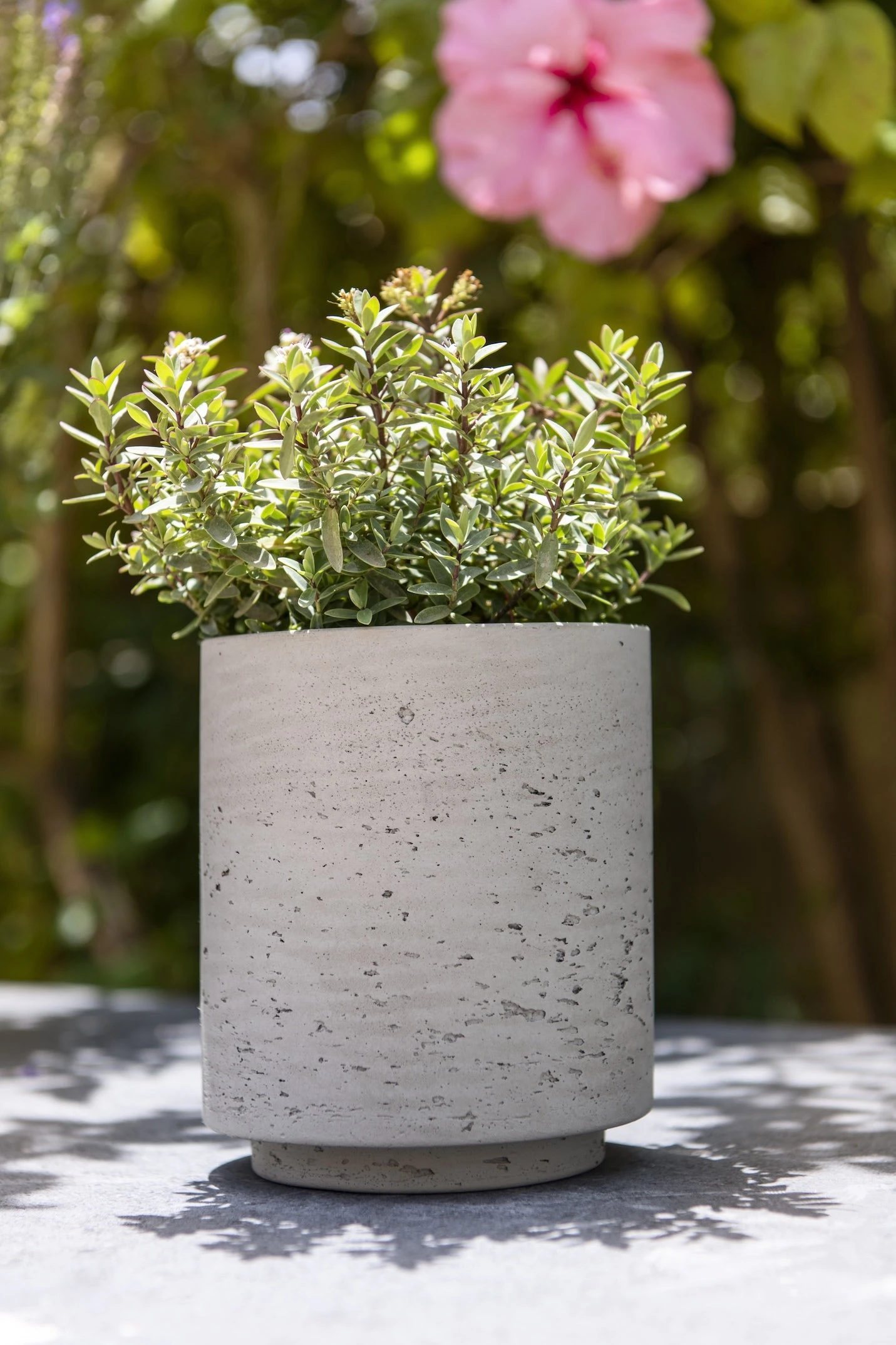 Suzi Grey Washed 4 Suzi Grey Washed – Bild 2