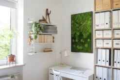 Moosbild Verlauf Wald- Und Ballenmoos 100x60 Cm 13 Moosbild Verlauf Wald- Und Ballenmoos 100x60 Cm -Pflanzen Blumentopf Geschäft StandardWaldundKugelmoos100x60