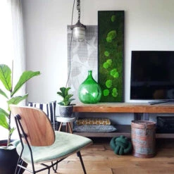 Moosbild Wald- Und Ballenmoos 140x40 Cm 10 Moosbild Wald- Und Ballenmoos 140x40 Cm -Pflanzen Blumentopf Geschäft StandardWaldundKugelmoos140x40