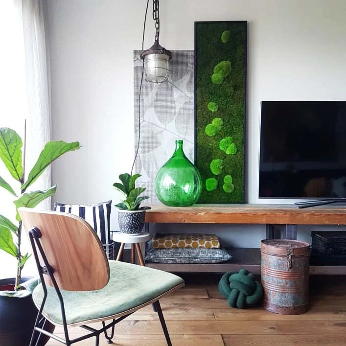 Moosbild Wald- Und Ballenmoos 140x40 Cm 5 Moosbild Wald- Und Ballenmoos 140x40 Cm – Bild 3