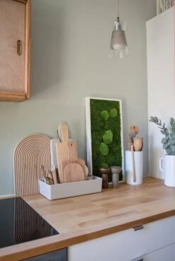 Moosbild Wald- Und Ballenmoos 57x27 Cm 8 Moosbild Wald- Und Ballenmoos 57x27 Cm -Pflanzen Blumentopf Geschäft StandardWaldundKugelmoos57x27