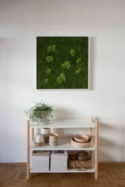 Moosbild Wald- Und Ballenmoos 80x80 Cm 10 Moosbild Wald- Und Ballenmoos 80x80 Cm -Pflanzen Blumentopf Geschäft StandardWaldundKugelmoos80x80