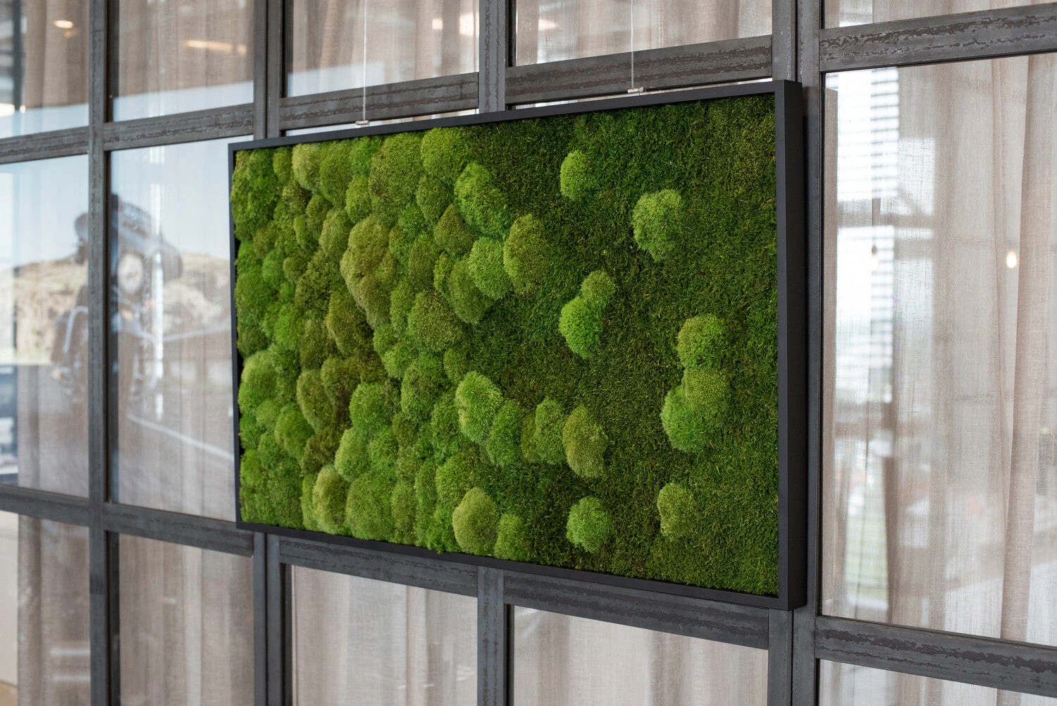 Moosbild Verlauf Wald- Und Ballenmoos 100x60 Cm 5 Moosbild Verlauf Wald- Und Ballenmoos 100x60 Cm – Bild 3