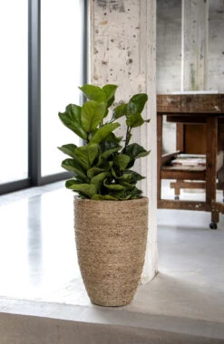 Ben Straw Grass Handgewebter Pflanzkorb