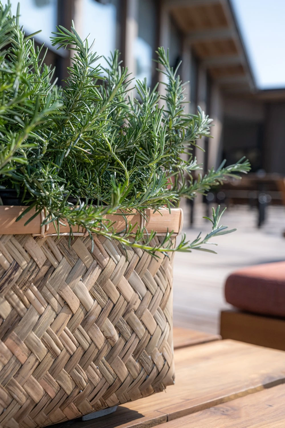 Pflanzkorb Bohemian Nouri 4 Pflanzkorb Bohemian Nouri – Bild 2