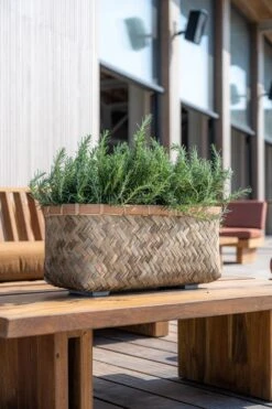 Pflanzkorb Bohemian Nouri