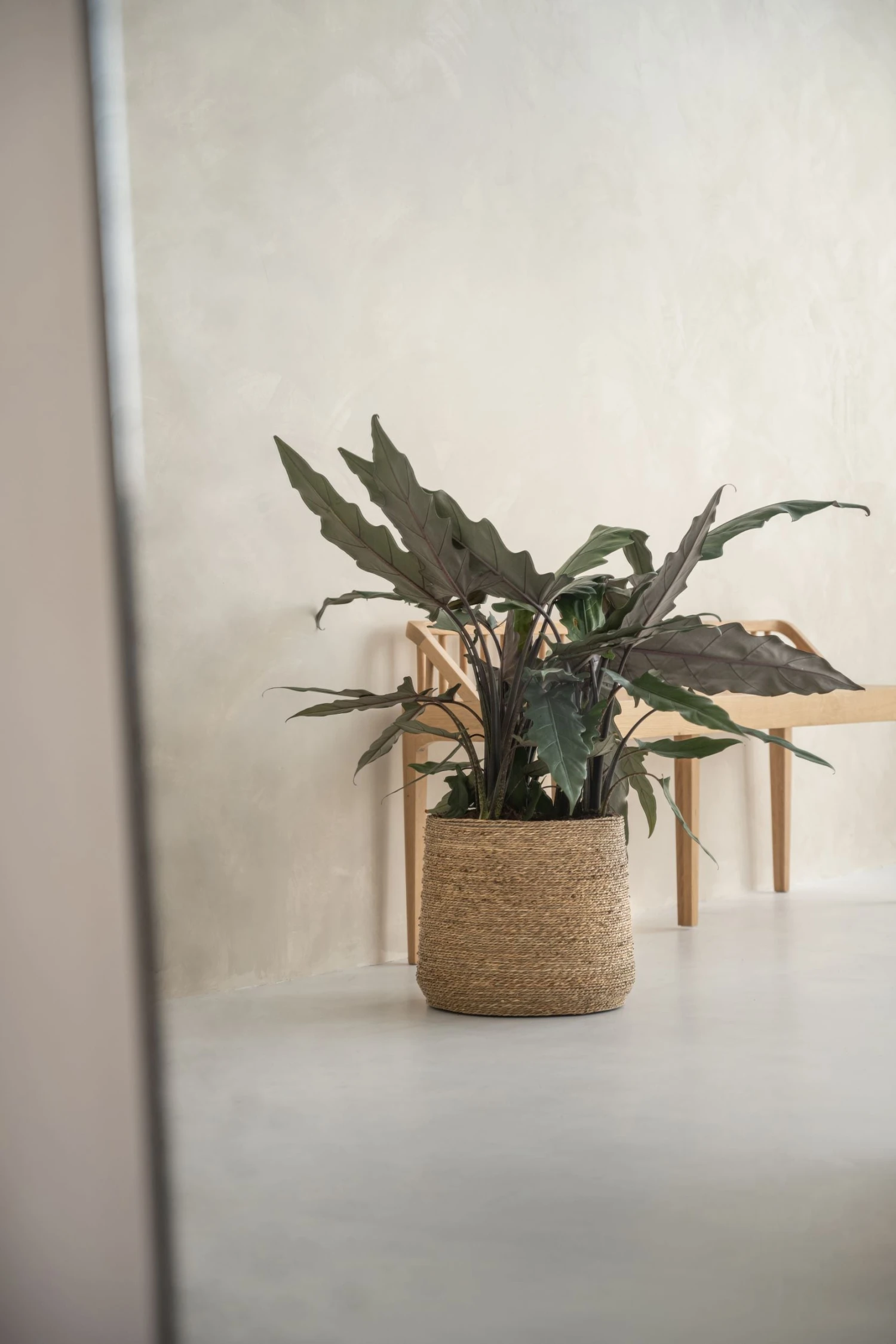 Patt Straw Grass Handgewebter Pflanzkorb 5 Patt Straw Grass Handgewebter Pflanzkorb – Bild 3