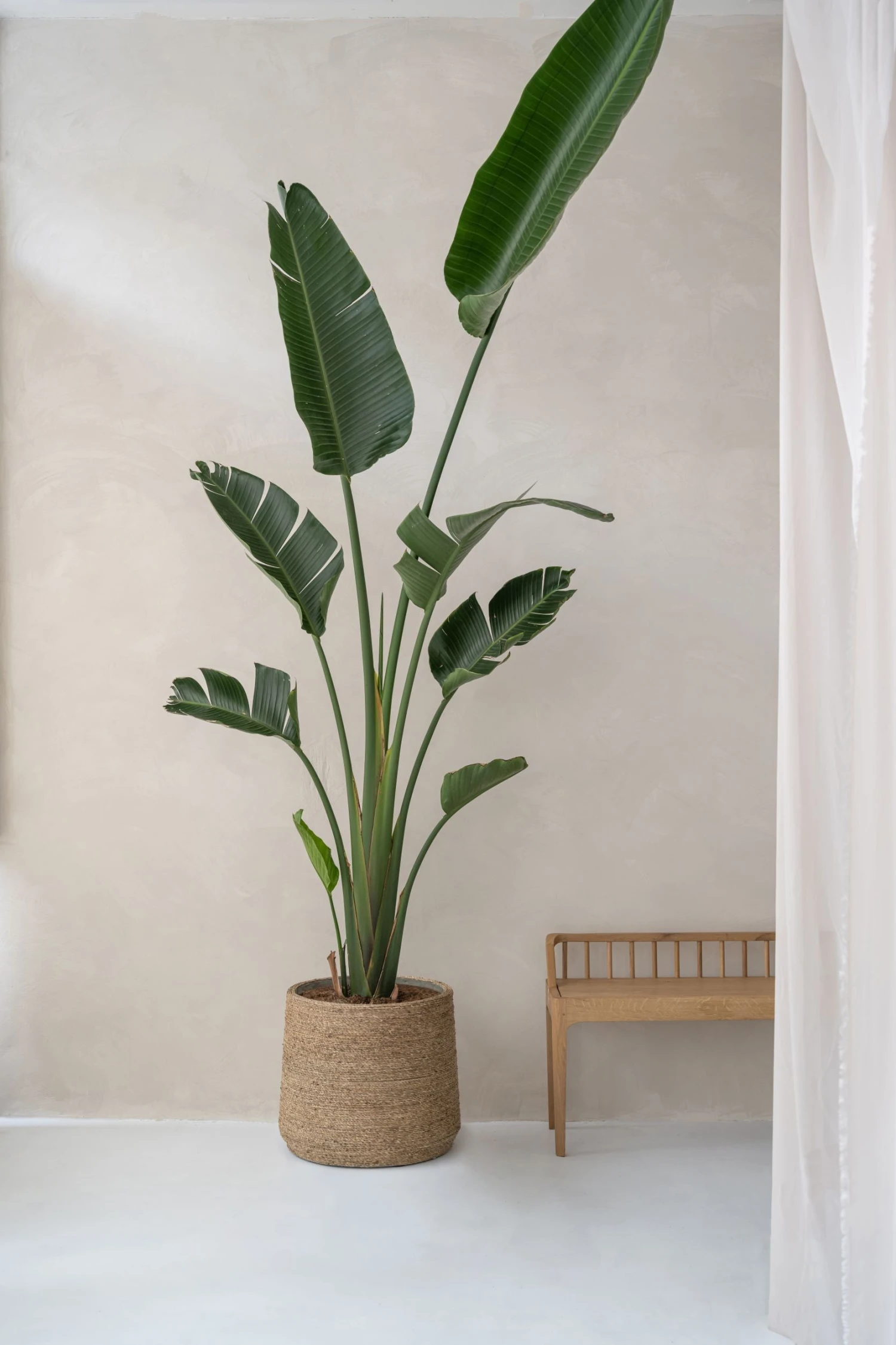 Patt Straw Grass Handgewebter Pflanzkorb 3 Patt Straw Grass Handgewebter Pflanzkorb