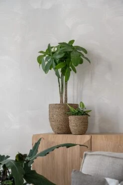 Cody Straw Grass Handgewebter Pflanzkorb