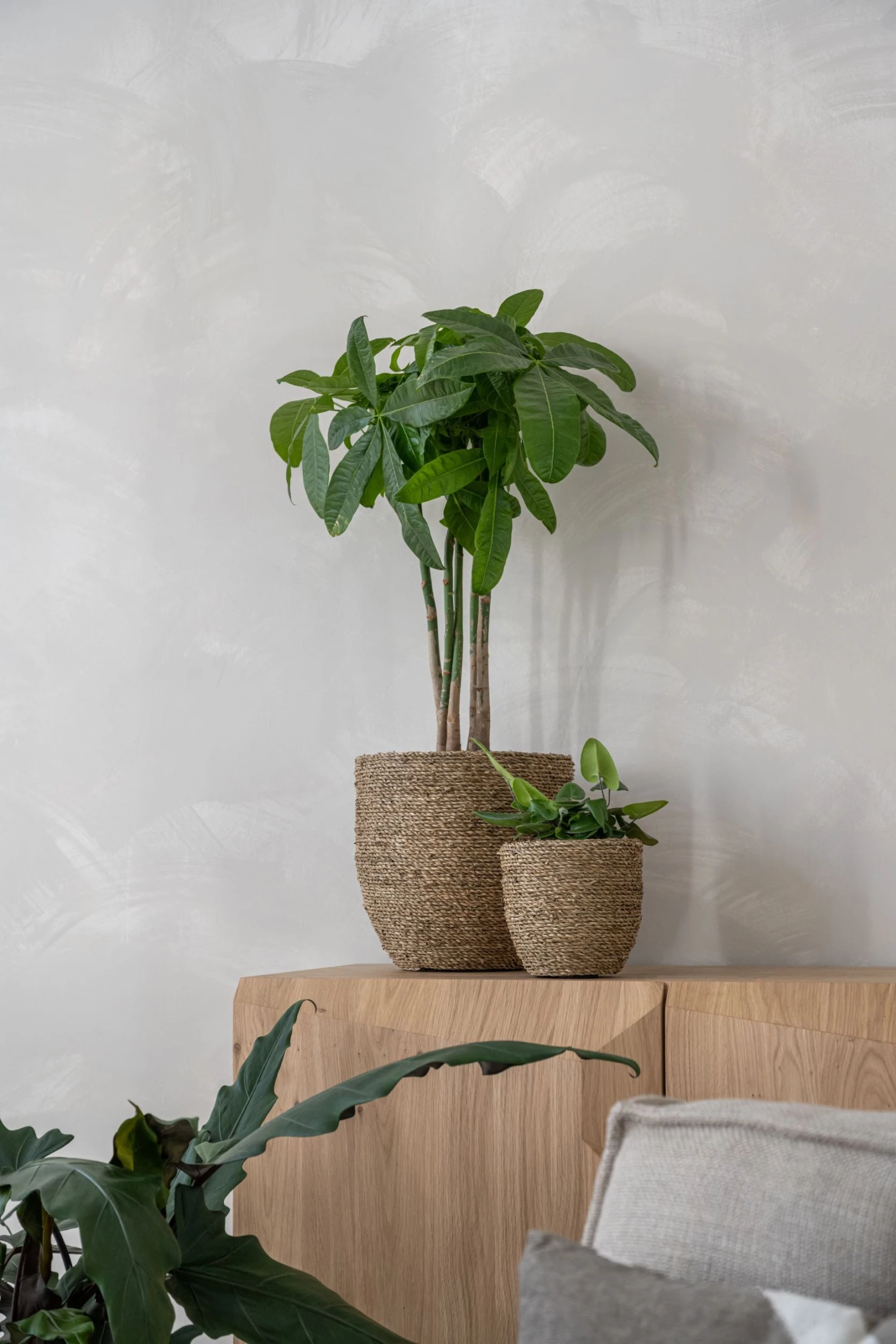 Cody Straw Grass Handgewebter Pflanzkorb 3 Cody Straw Grass Handgewebter Pflanzkorb