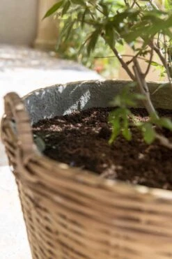 Mano Handgewebter Pflanzkorb 8 Mano Handgewebter Pflanzkorb -Pflanzen Blumentopf Geschäft T4011 45 BB 105