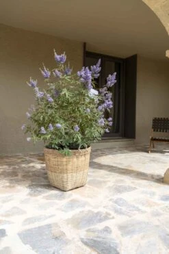 Mano Handgewebter Pflanzkorb