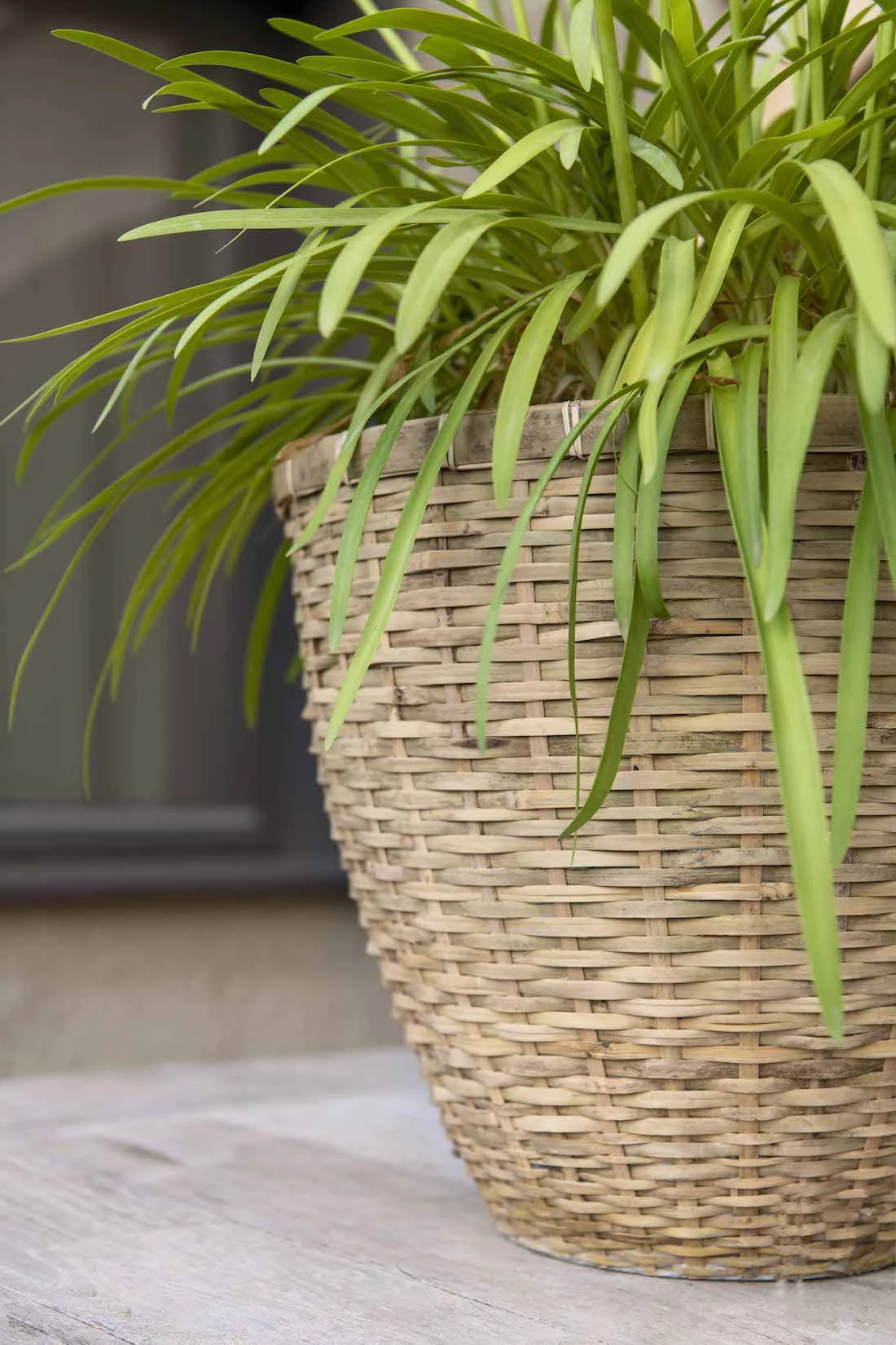 Diego Handgewebter Pflanzkorb 4 Diego Handgewebter Pflanzkorb – Bild 2