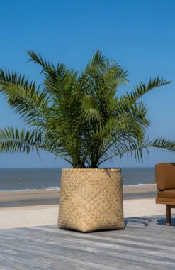 Pflanzkorb Bohemian Zayn