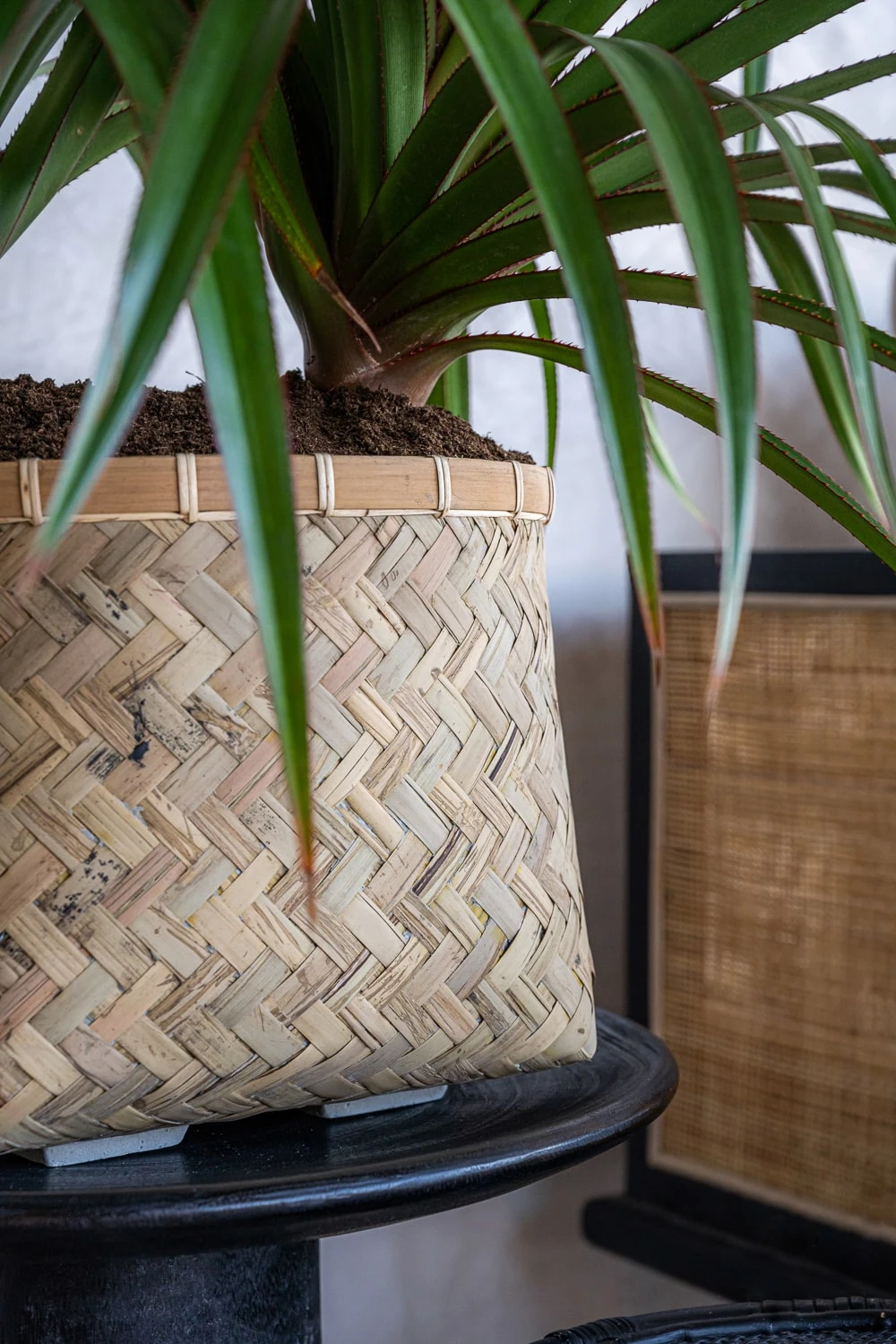 Pflanzkorb Bohemian Nala 4 Pflanzkorb Bohemian Nala – Bild 2