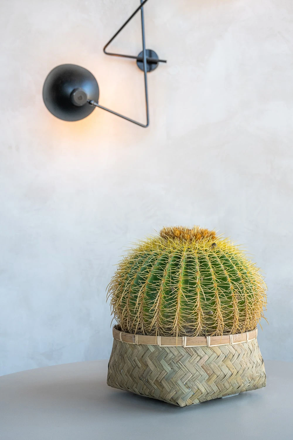 Pflanzkorb Bohemian Nala Low 4 Pflanzkorb Bohemian Nala Low – Bild 2