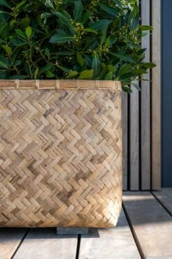 Pflanzkorb Bohemian Rafi 11 Pflanzkorb Bohemian Rafi -Pflanzen Blumentopf Geschäft T4108 41 BB 5 min