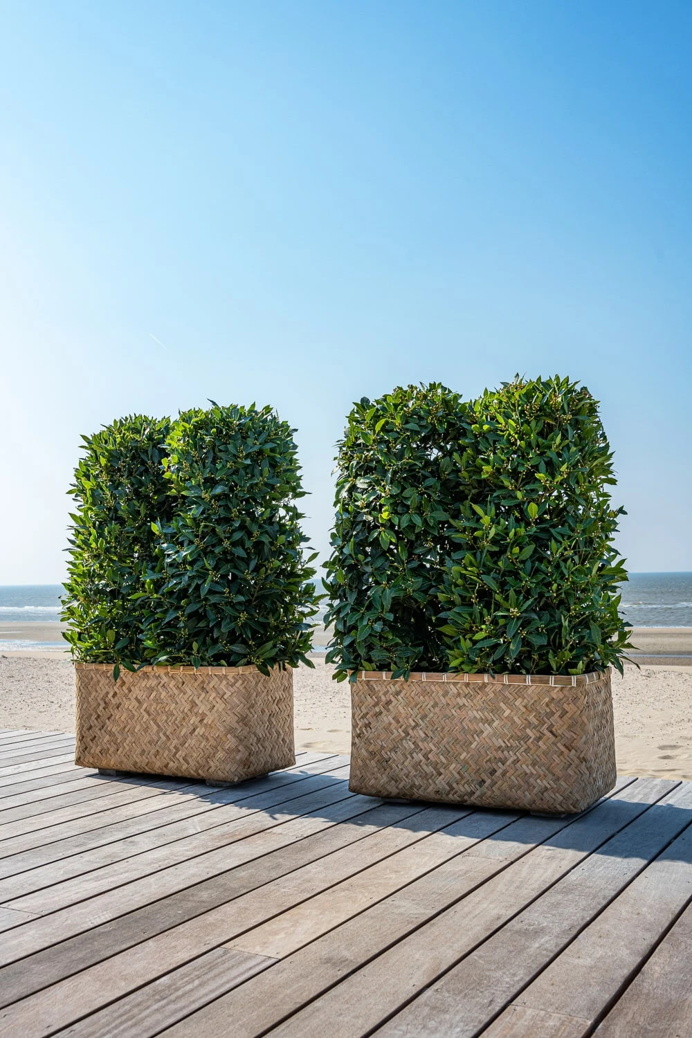 Pflanzkorb Bohemian Rafi 3 Pflanzkorb Bohemian Rafi