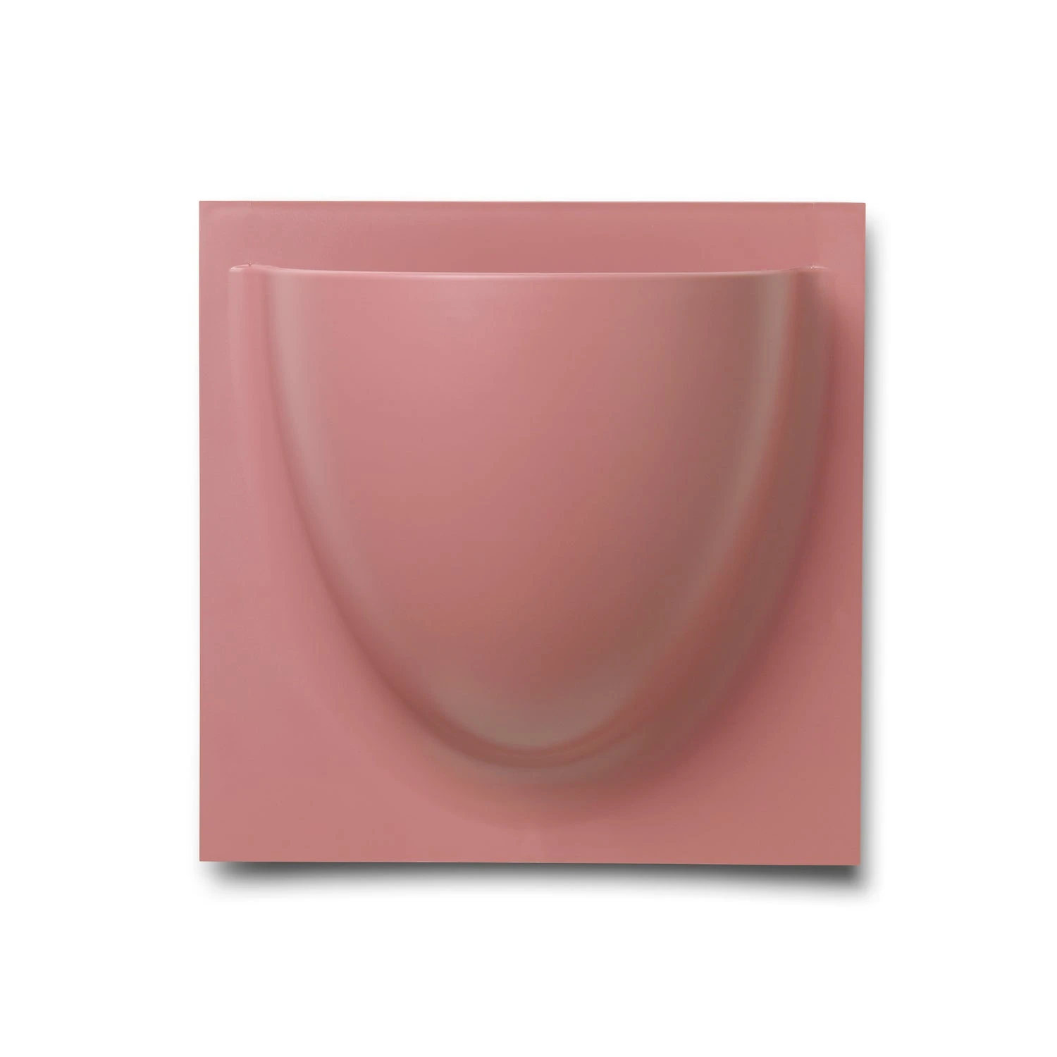 VertiPlants Wandgefäß Aus Pflanzlichen Materialien 9 VertiPlants Wandgefäß Aus Pflanzlichen Materialien – Bild 7