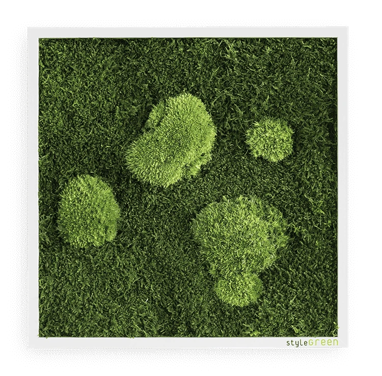 Moosbild Wald- Und Ballenmoos 35x35 Cm 3 Moosbild Wald- Und Ballenmoos 35x35 Cm