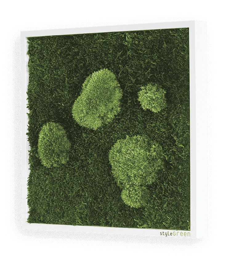 Moosbild Wald- Und Ballenmoos 35x35 Cm 4 Moosbild Wald- Und Ballenmoos 35x35 Cm – Bild 2