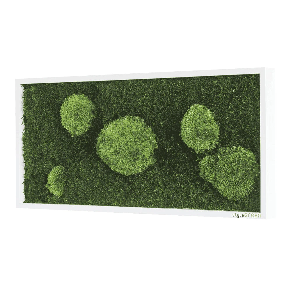 Moosbild Wald- Und Ballenmoos 57x27 Cm 4 Moosbild Wald- Und Ballenmoos 57x27 Cm – Bild 2