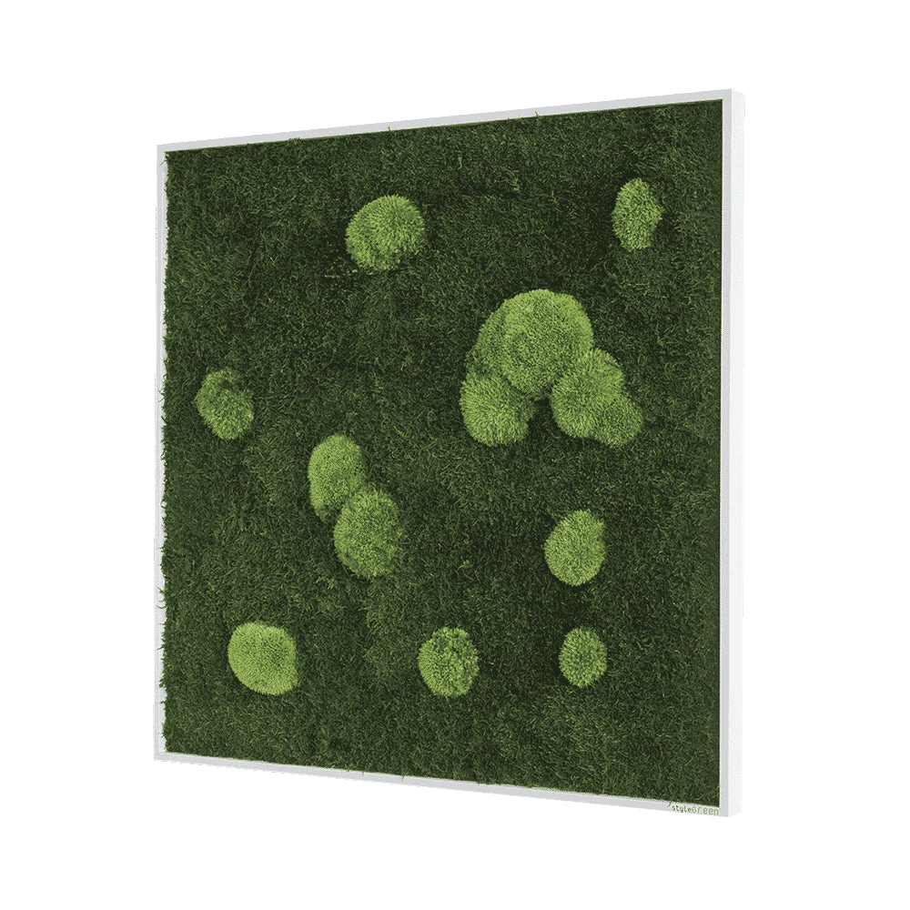 Moosbild Wald- Und Ballenmoos 80x80 Cm 4 Moosbild Wald- Und Ballenmoos 80x80 Cm – Bild 2