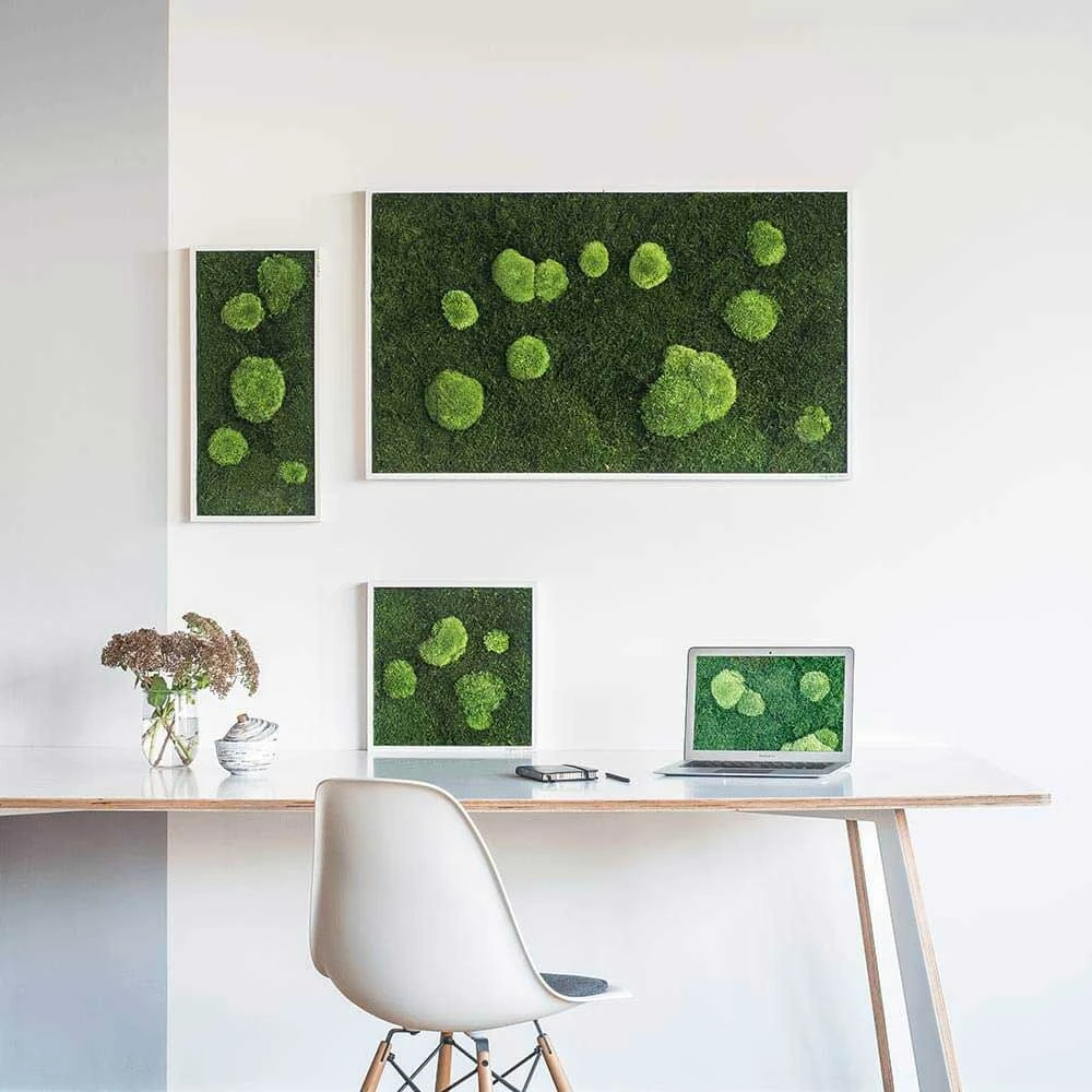 Moosbild Wald- Und Ballenmoos 35x35 Cm 5 Moosbild Wald- Und Ballenmoos 35x35 Cm – Bild 3