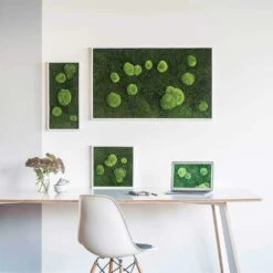 Moosbild Wald- Und Ballenmoos 57x27 Cm 9 Moosbild Wald- Und Ballenmoos 57x27 Cm -Pflanzen Blumentopf Geschäft WaldundKugelmoosbild Ambiente2 klein 8558349e 2cc1 475b 8921 a652815cf515