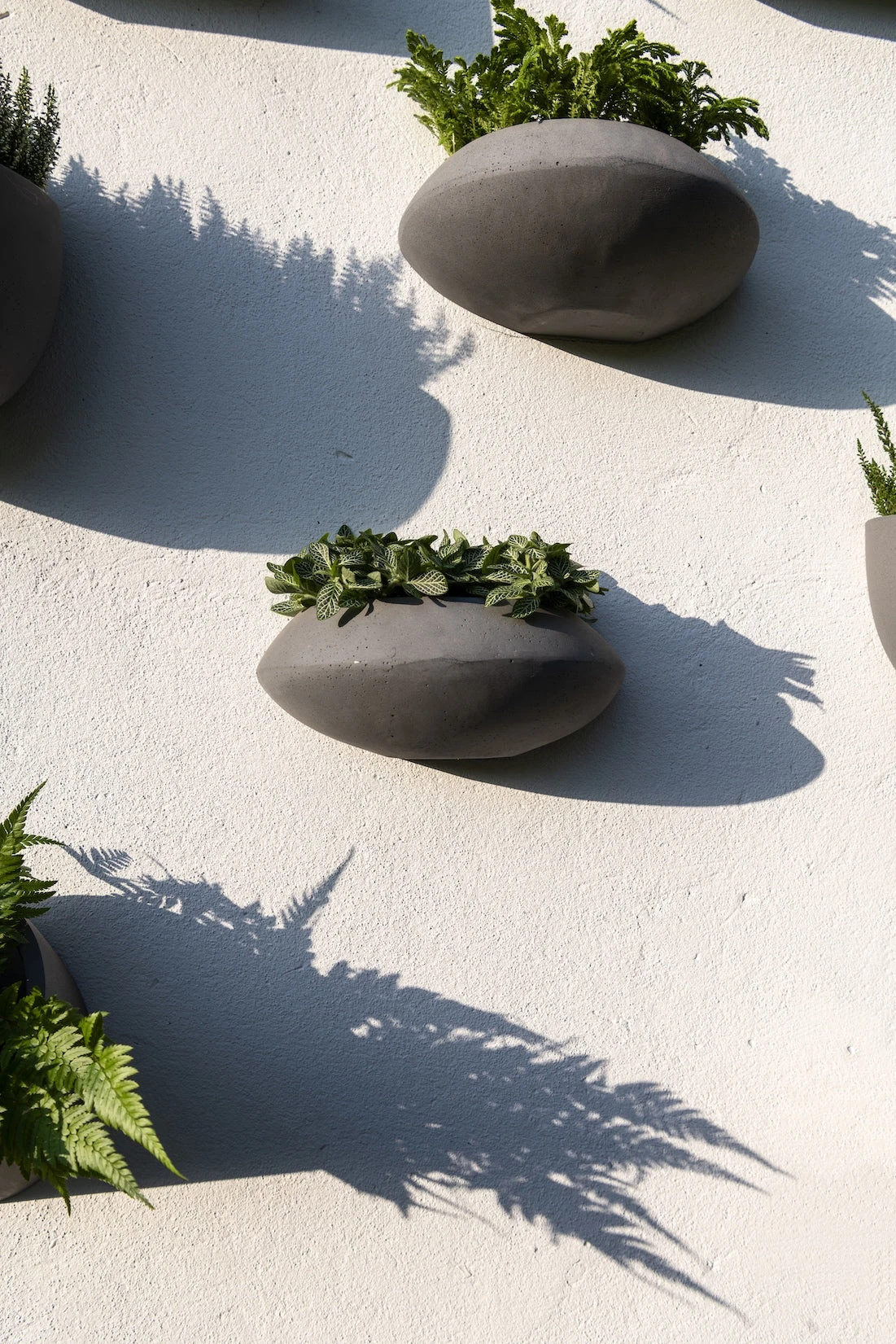 Hanging Wally Mini Tara Grau 3 Hanging Wally Mini Tara Grau